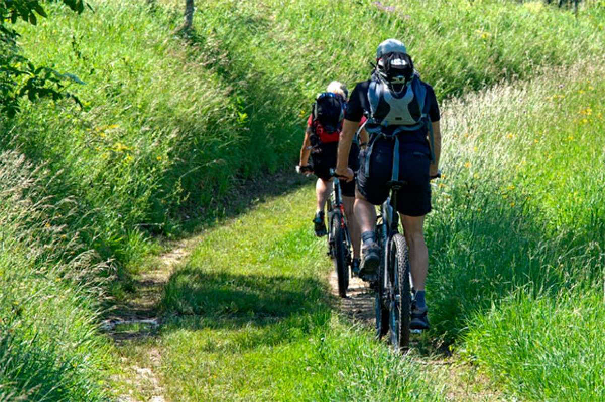 Diez bicicletas de la temporada 2017 para iniciarse en el Mountain Bike