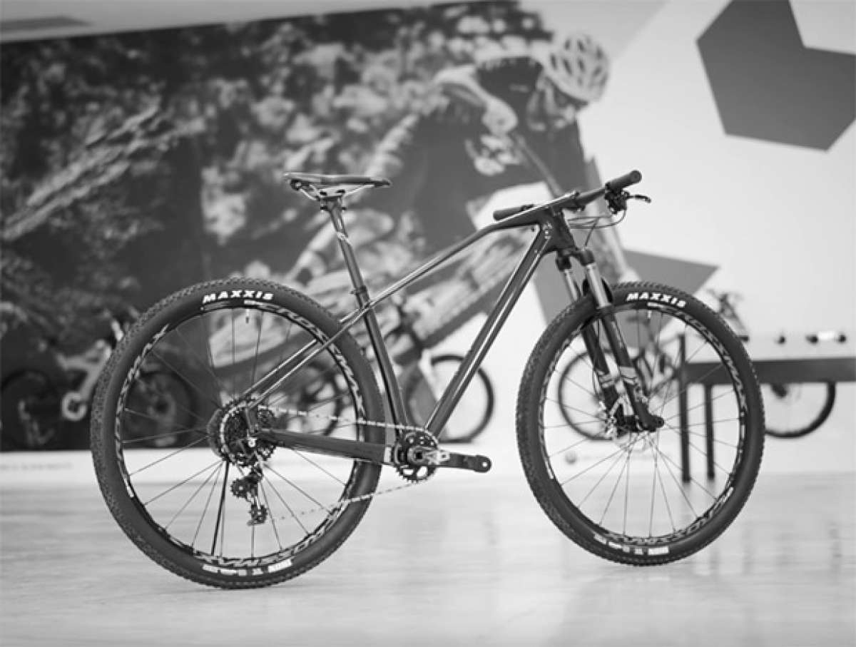 La Mondraker Podium Carbon de 2017, al detalle