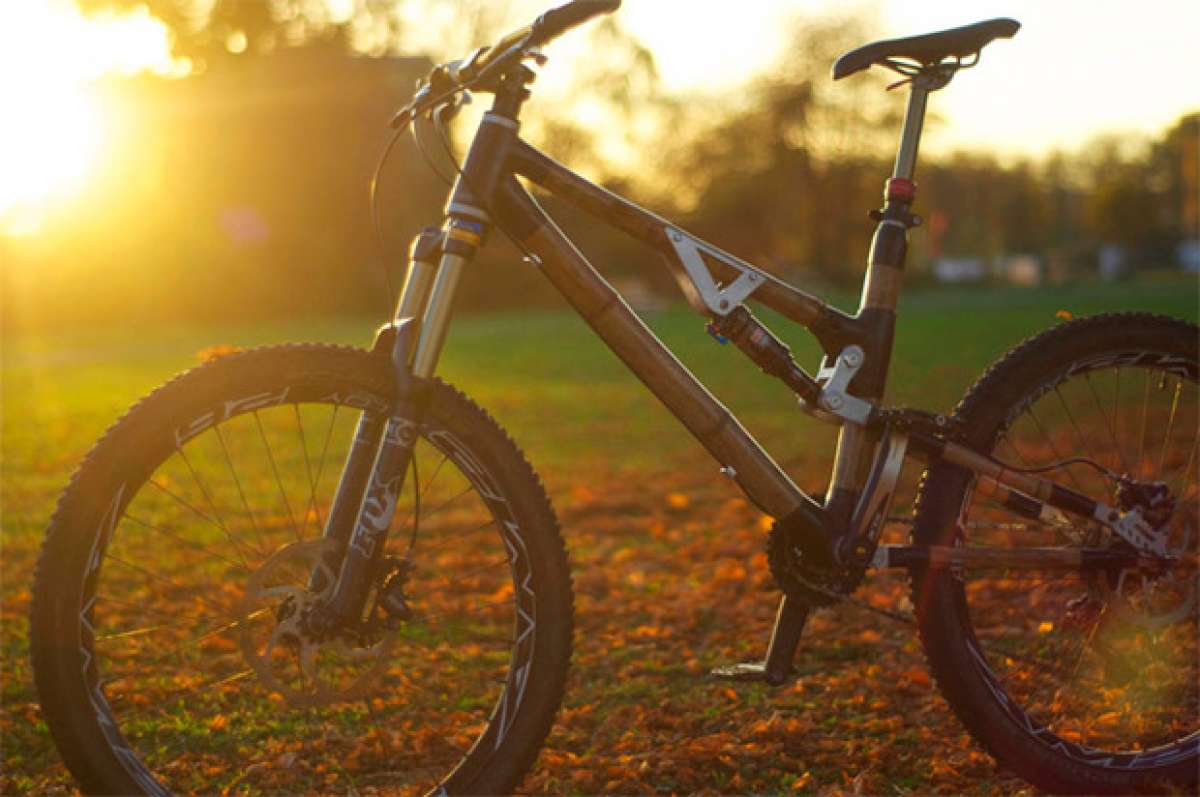 Gaia Artemis, la primera doble con cuadro de bambú