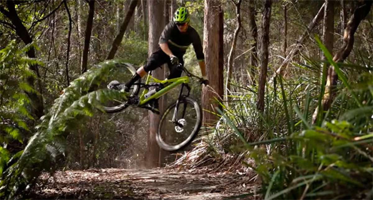 "Destination Trail - Tasmania", rodando por los mejores senderos del mundo con los pilotos de Specialized