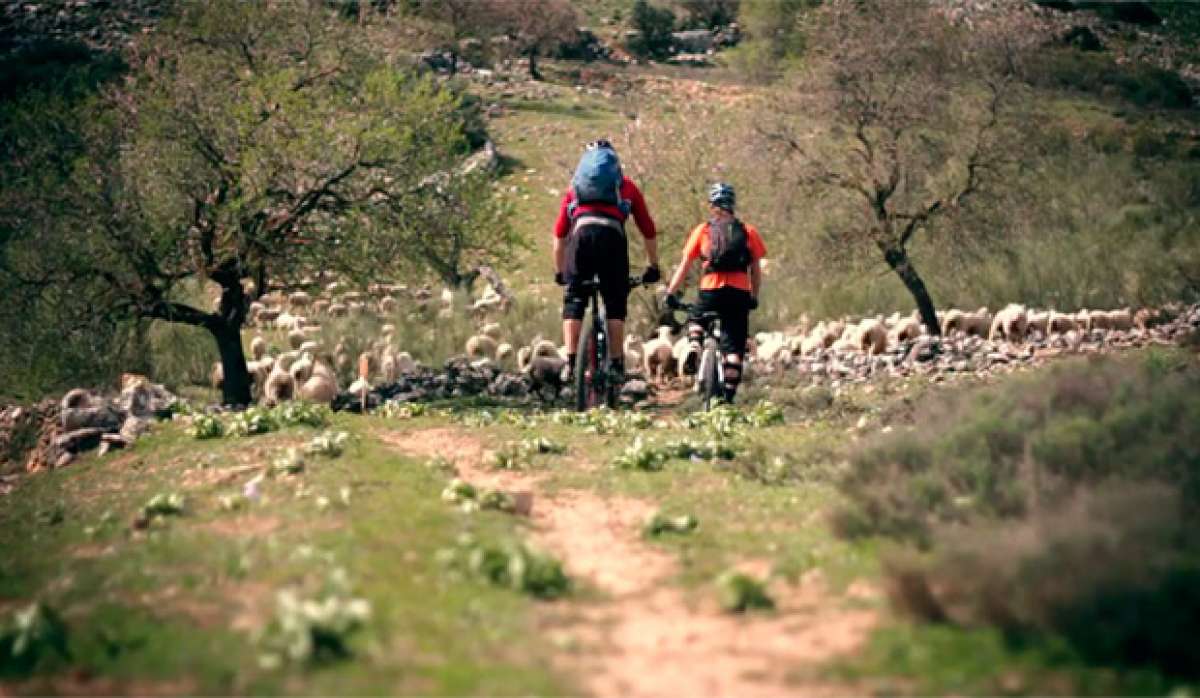 Practicando Mountain Biking en Andalucía (España)