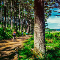 Diez normas de conducta imprescindibles para dejar de ser un gilip****s sobre la bicicleta