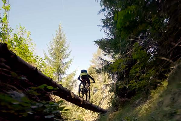 Lección de entomología en la región suiza de Verbier con Ludo May y su BMC Speedfox
