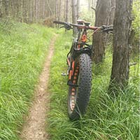 La foto del día en TodoMountainBike: "La senda del bosque"