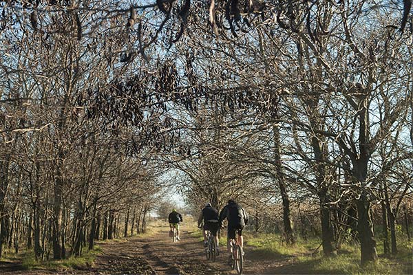 Cómo mantenerse en forma sobre la bicicleta a partir de los 40 años