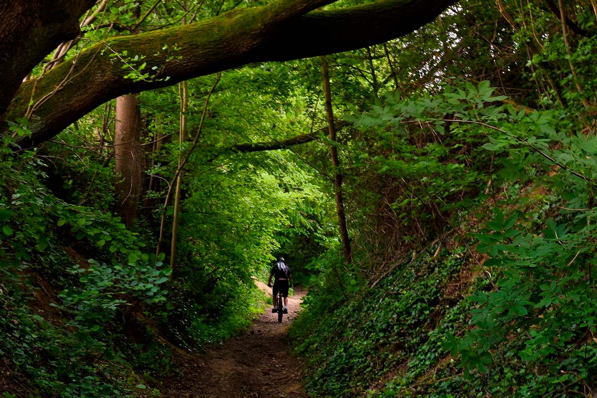 Un estudio sugiere que la práctica de ejercicio en un horario regular mejora la adquisición del hábito y el rendimiento