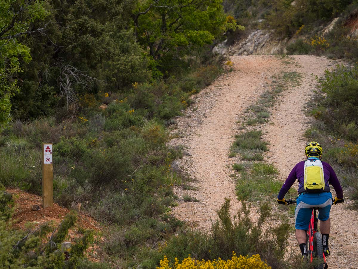 En TodoMountainBike: IMBA y Bikefriendly unen fuerzas para impulsar el cicloturismo de montaña en España