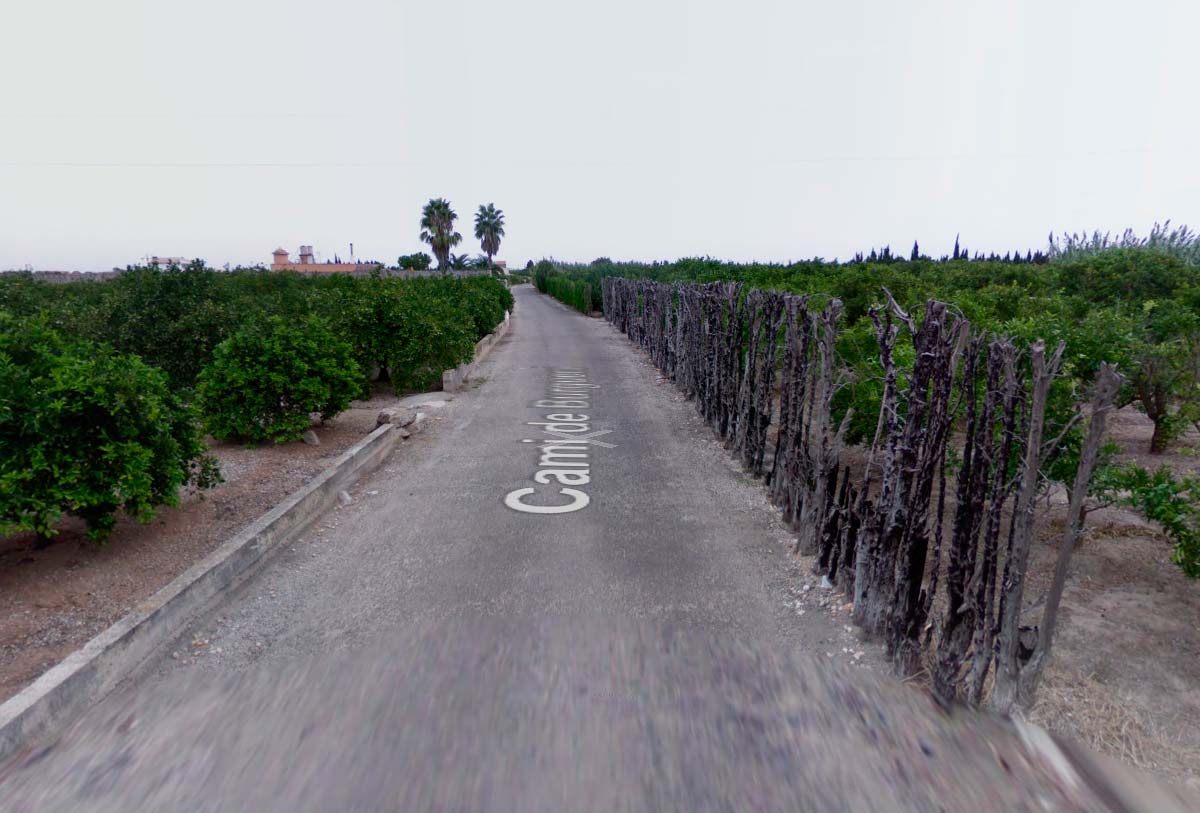 En TodoMountainBike: Muere un ciclista en un camino de Oliva (Valencia) tras desplomarse de su bici