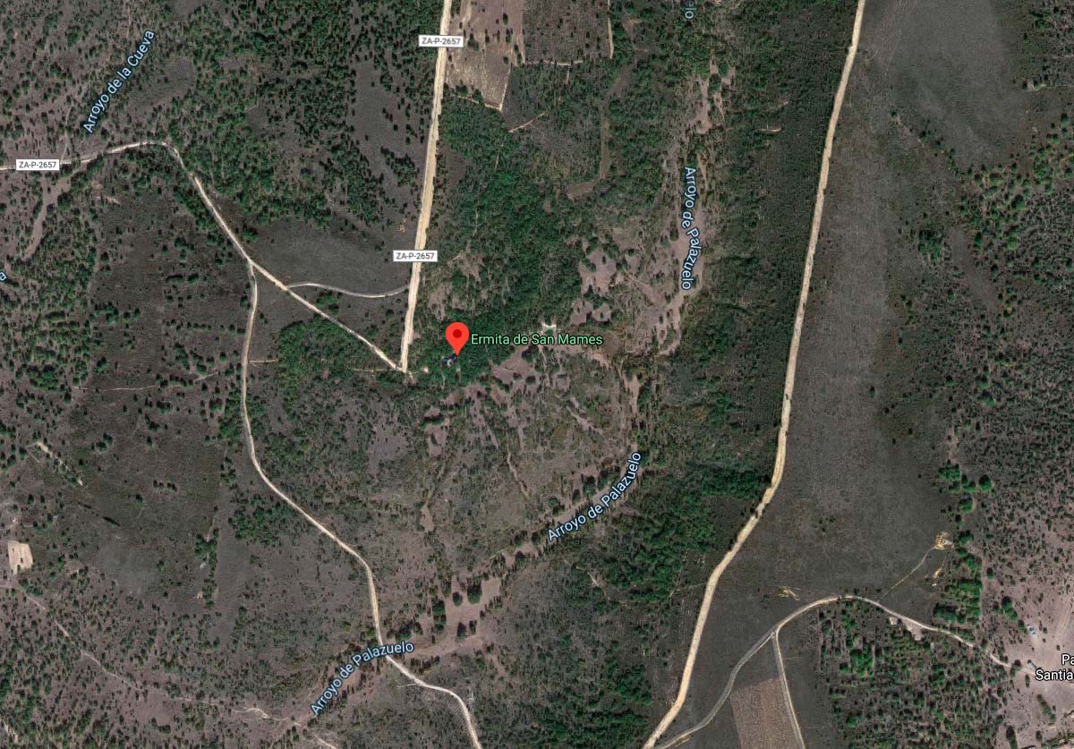 En TodoMountainBike: Muere un ciclista por un posible fallo cardíaco en una pista forestal de Valleluengo