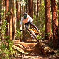 La Scott Gambler 900 Tuned de 2020 en acción con Dean Lucas