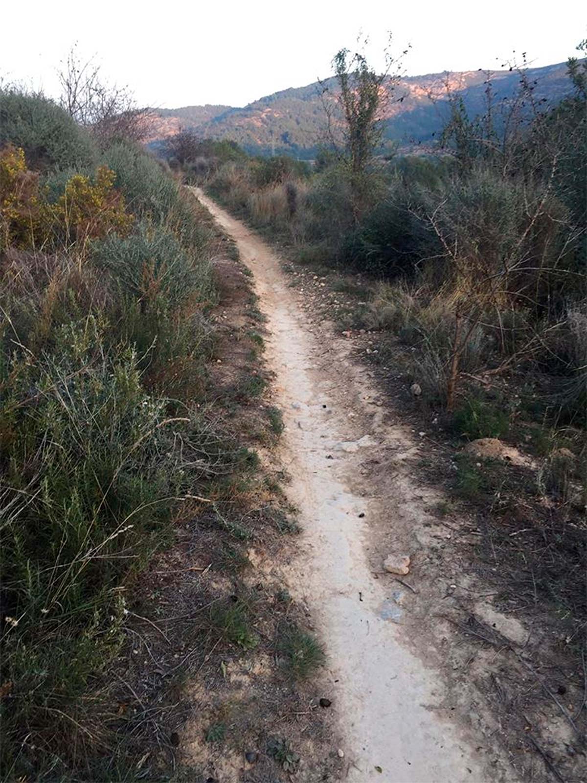 En TodoMountainBike: Alerta en Valencia: trampas para ciclistas en los senderos de Cabanes