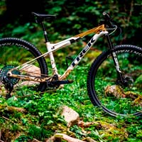 Así luce la Trek Supercaliber en edición oro olímpico de Jolanda Neff