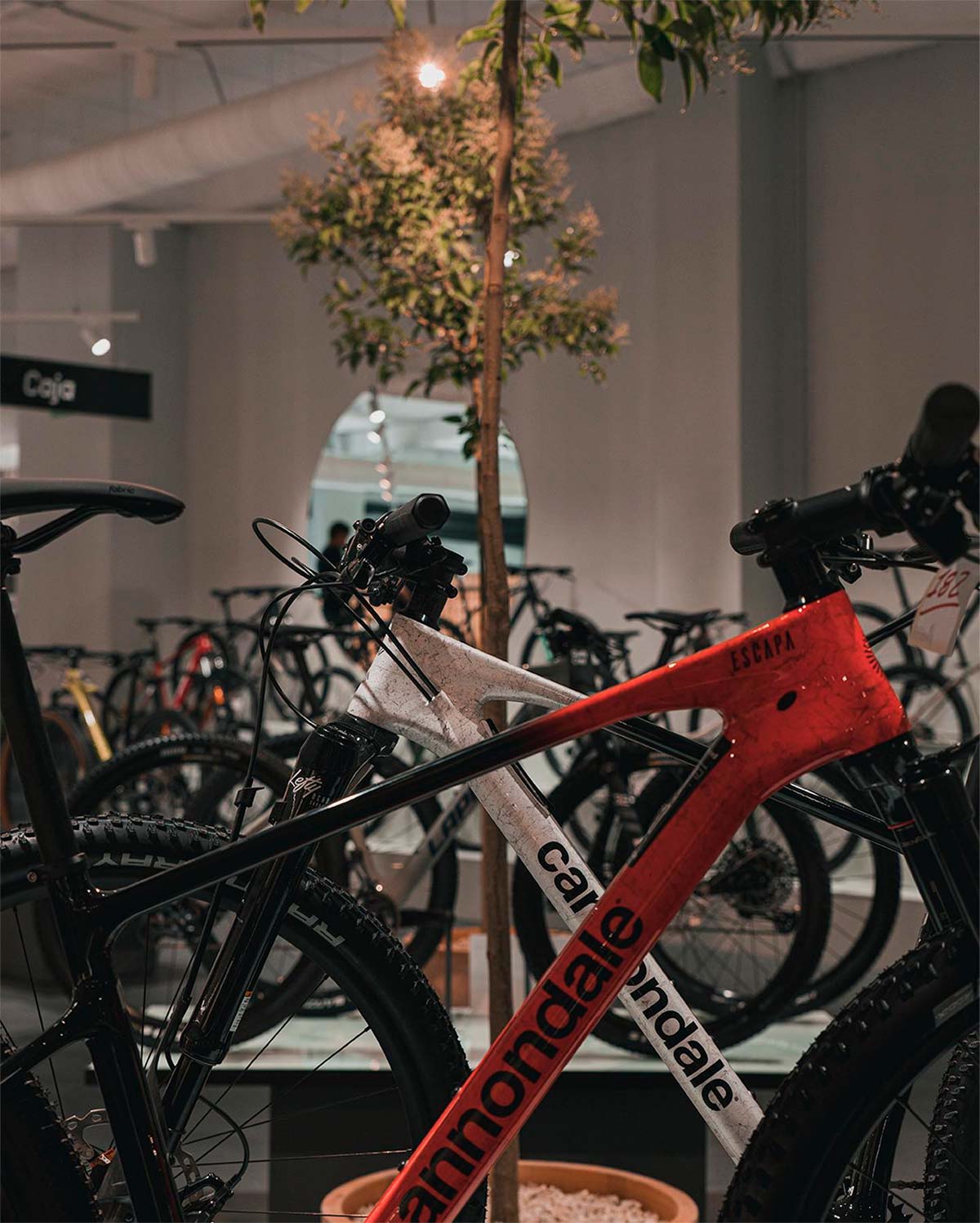 En TodoMountainBike: Escapa abre las puertas de la tienda de bicicletas más grande de la Comunidad de Madrid