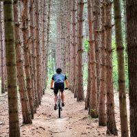 Lo que nadie cuenta: los efectos negativos del ciclismo para la salud (y la forma de prevenirlos)