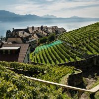 Kriss Kyle estrena cortometraje en los viñedos suizos de Lavaux, un paisaje declarado Patrimonio de la Humanidad por la UNESCO