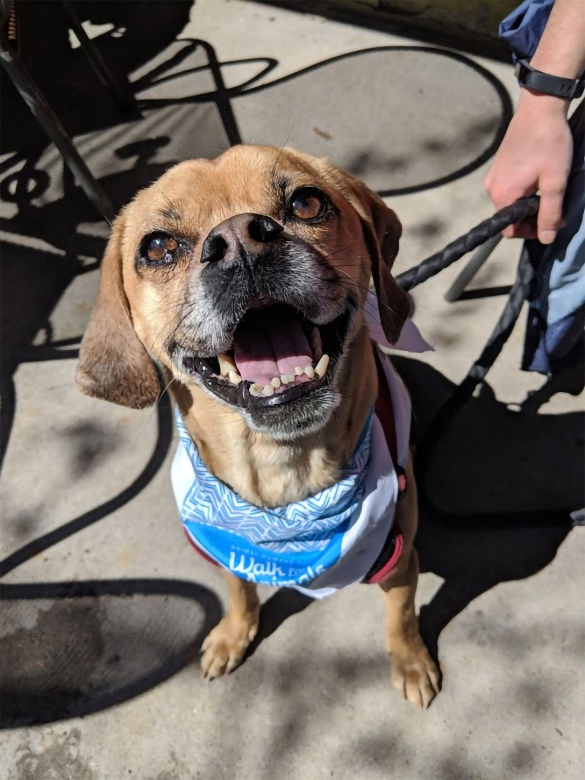 Una ciclista bate el Récord Guinness por el dibujo GPS más grande del mundo trazando la silueta de su perro fallecido