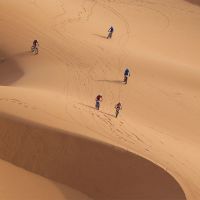 Los mejores momentos de la Skoda Titan Desert Morocco 2024, etapa a etapa