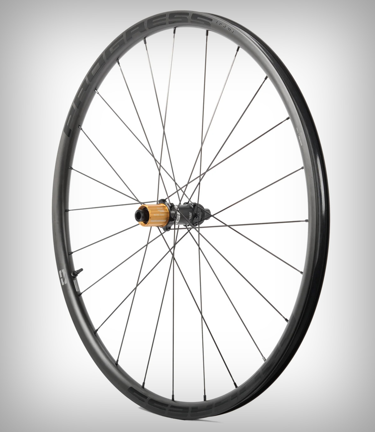 Progress Aspin Disc: unas ruedas ultraligeras de grafeno para carreteras de montaña y rutas sinuosas