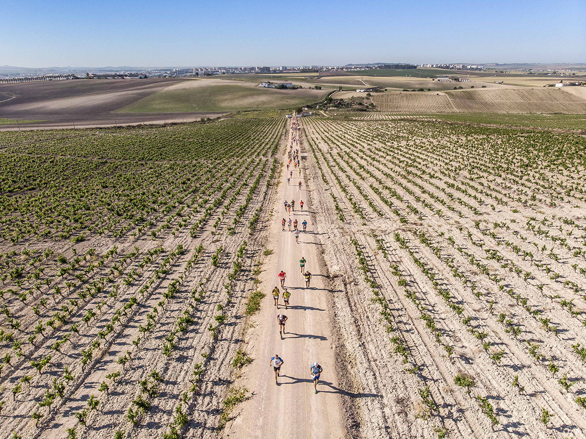 Sherry Maratón 2025: deporte, vino y gastronomía en una cita imperdible en Jerez