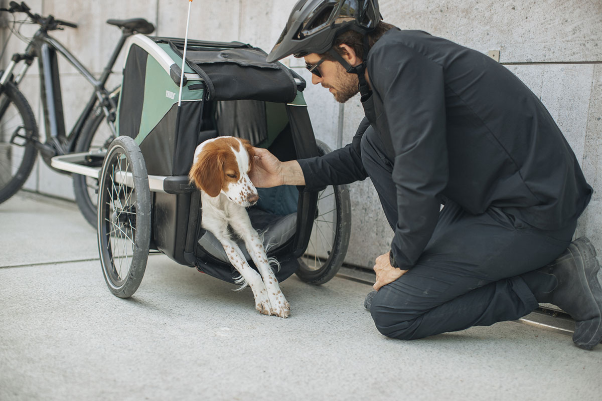 Thule presenta el Bexey, un remolque de bicicleta diseñado para transportar a perros