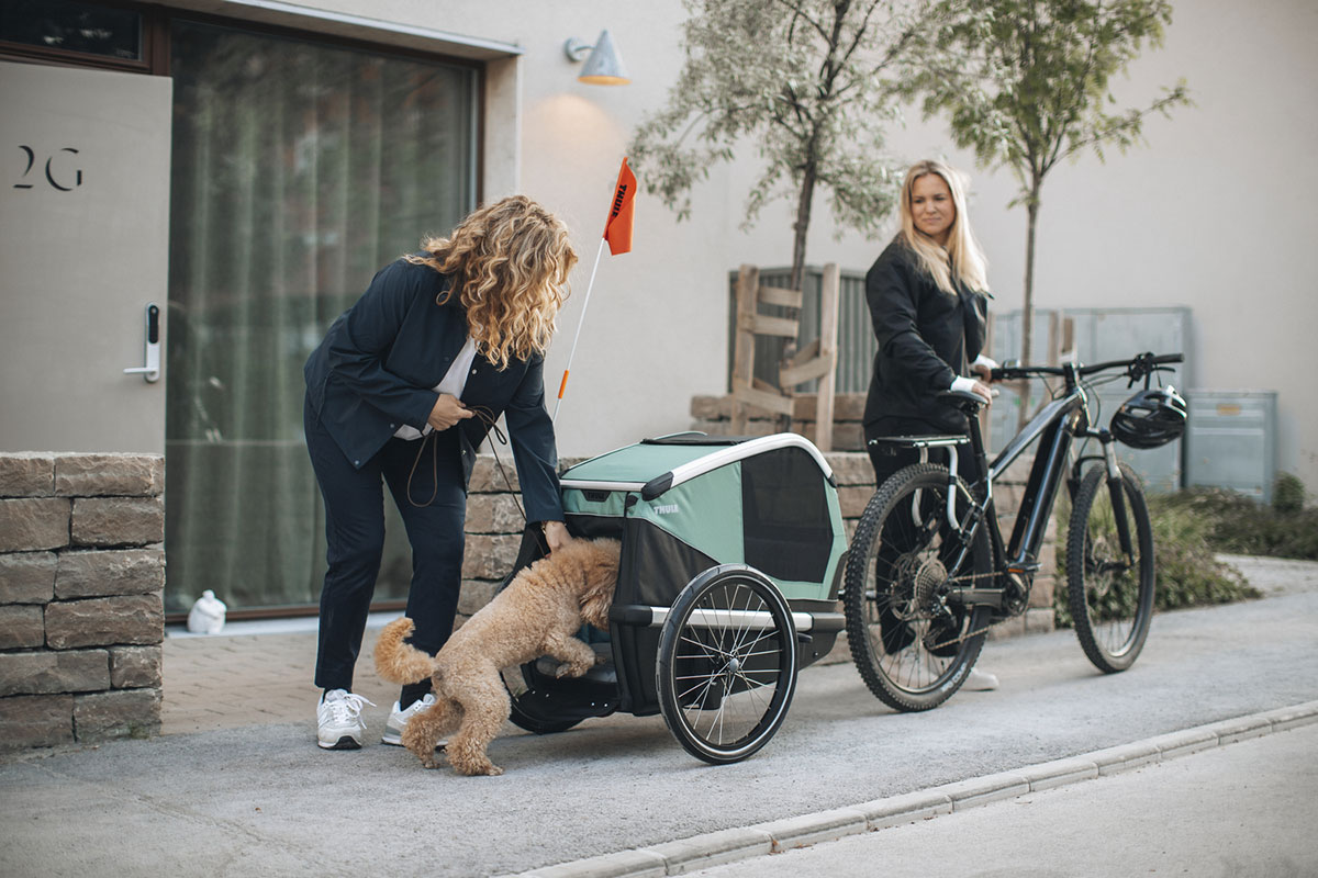 Thule presenta el Bexey, un remolque de bicicleta diseñado para transportar a perros