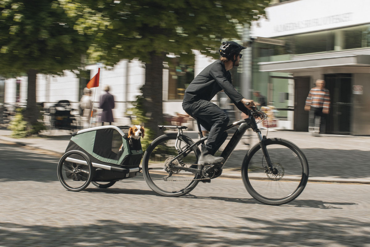 Thule presenta el Bexey, un remolque de bicicleta diseñado para transportar a perros