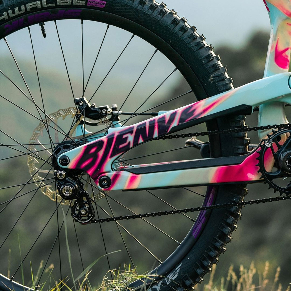 La YT Tues personalizada de Bienvenido Aguado para el Red Bull Rampage 2024