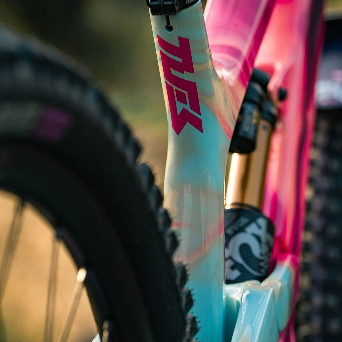 La YT Tues personalizada de Bienvenido Aguado para el Red Bull Rampage 2024