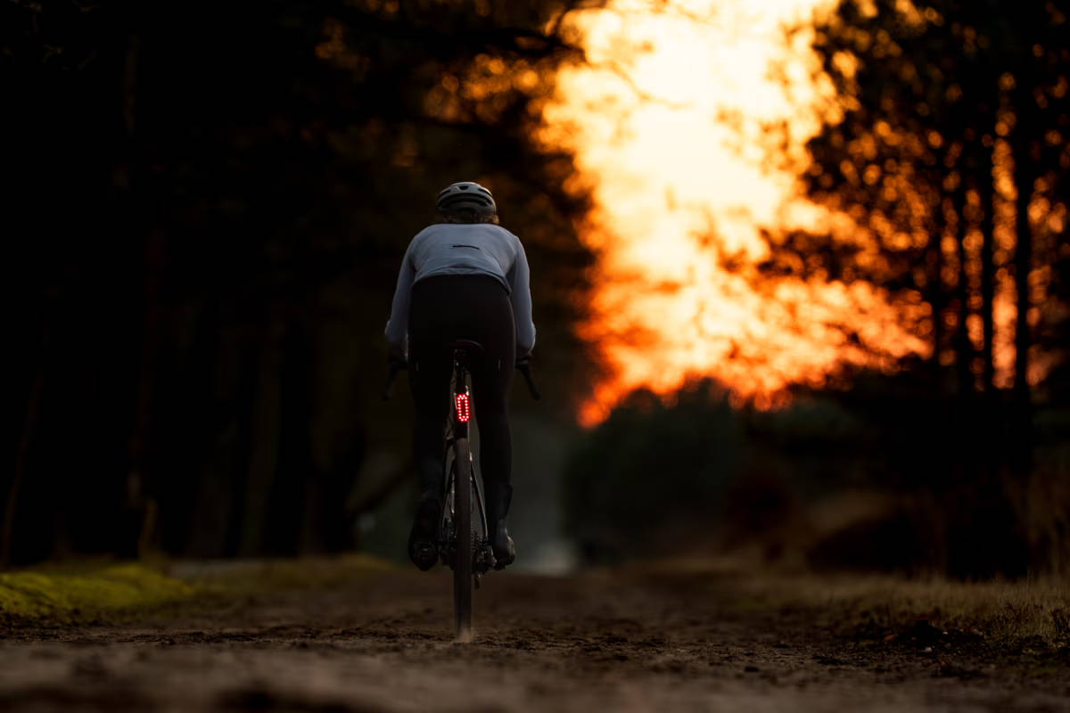 BBB Signal Radar. Imagen: BBB