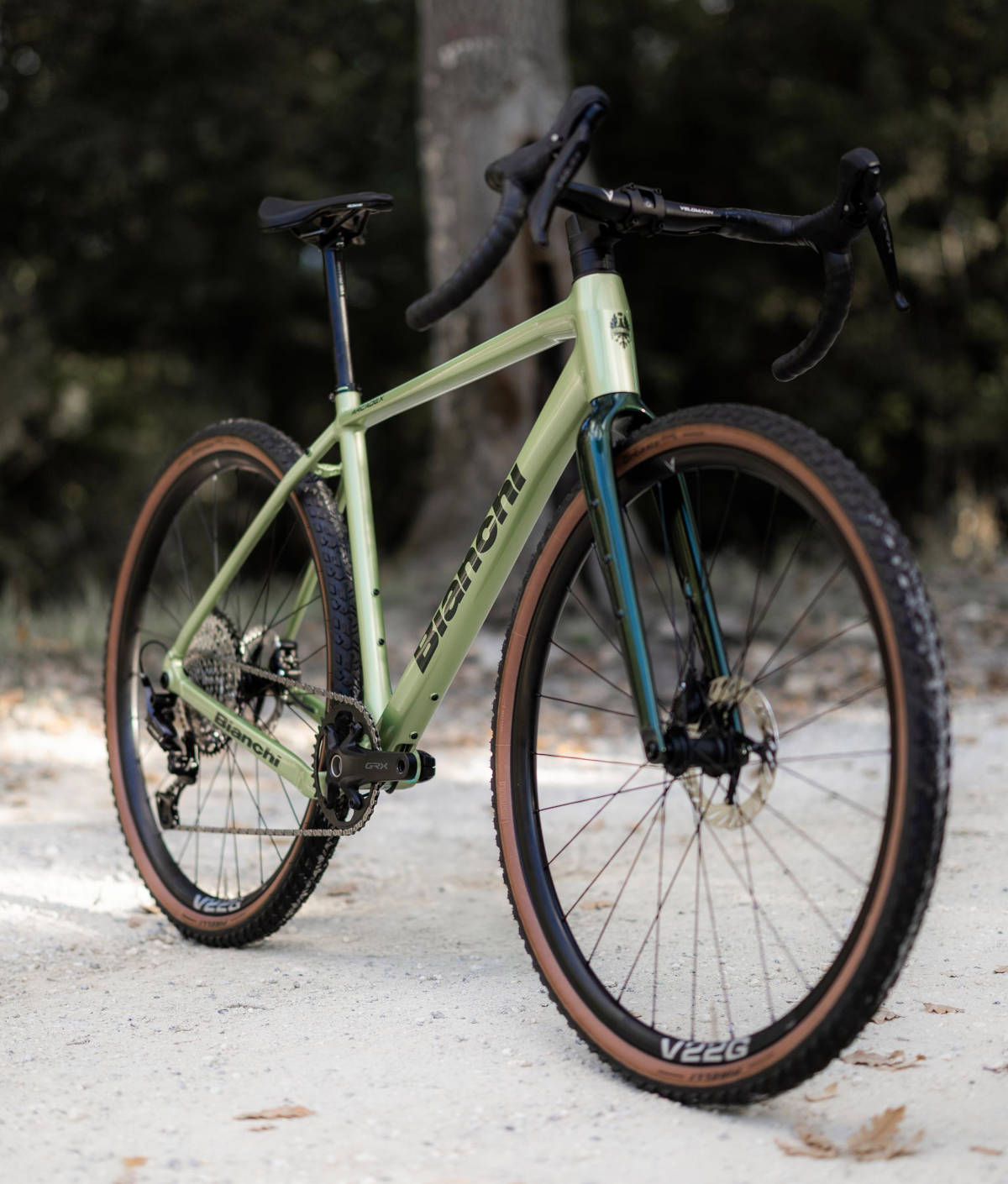 Bianchi Arcadex AL. Imagen: Bianchi
