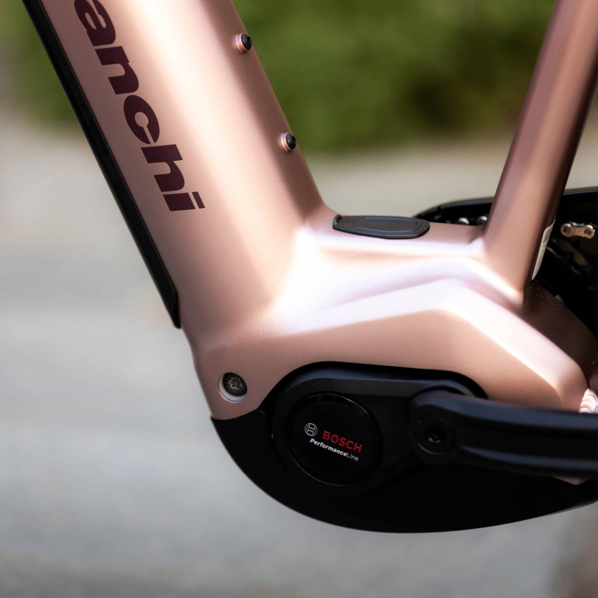 Bianchi T-Tronik C. Imagen: Bianchi