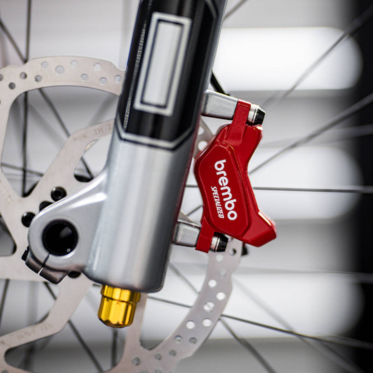 Frenos Brembo para MTB. Imagen: Billy Ceusters