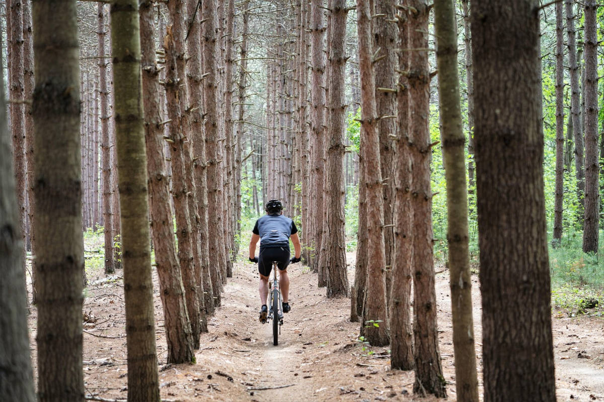 Ciclista entrenando. Imagen: Jody Parks / Pixabay