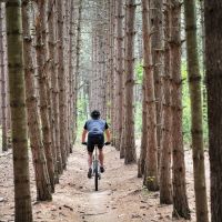 Cinco conceptos clave del entrenamiento ciclista que marcan la diferencia