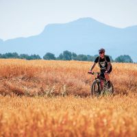 Cómo entrenar con poco tiempo: planes eficaces en menos de 5 horas semanales