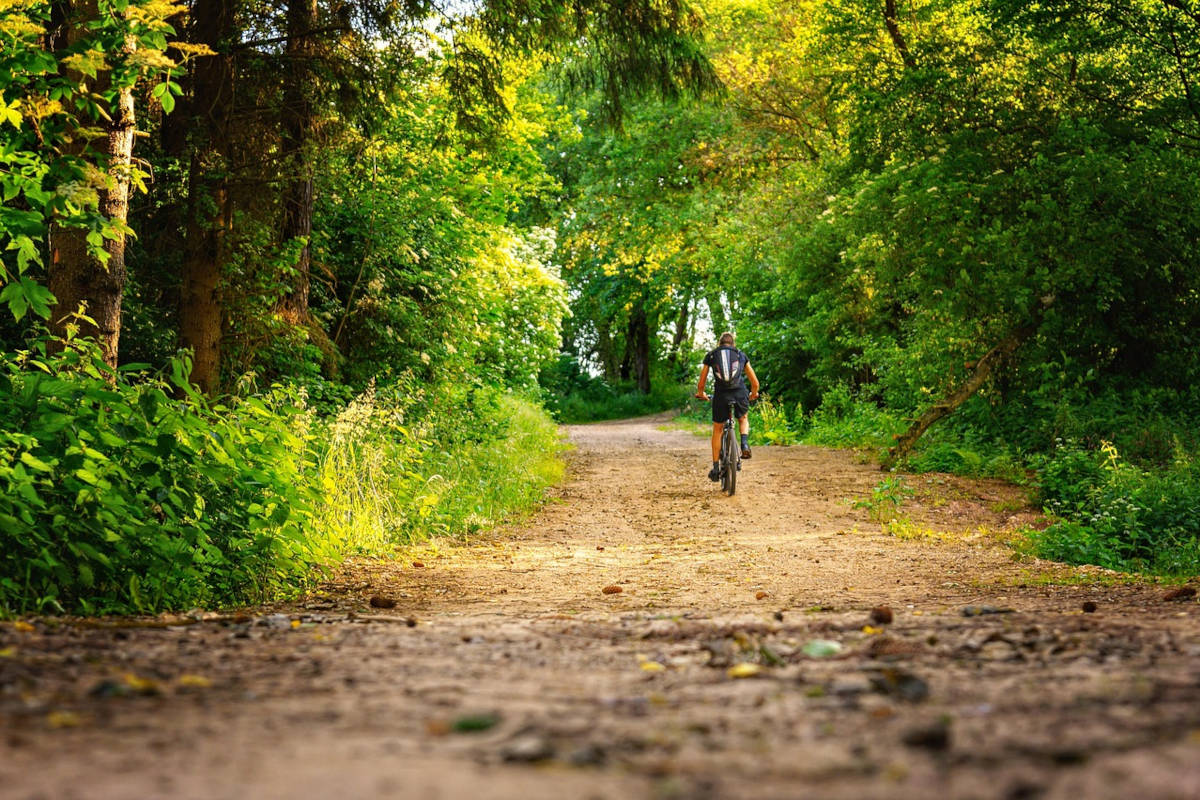 Ciclista entrenando. Imagen: Tama66 / Pixabay