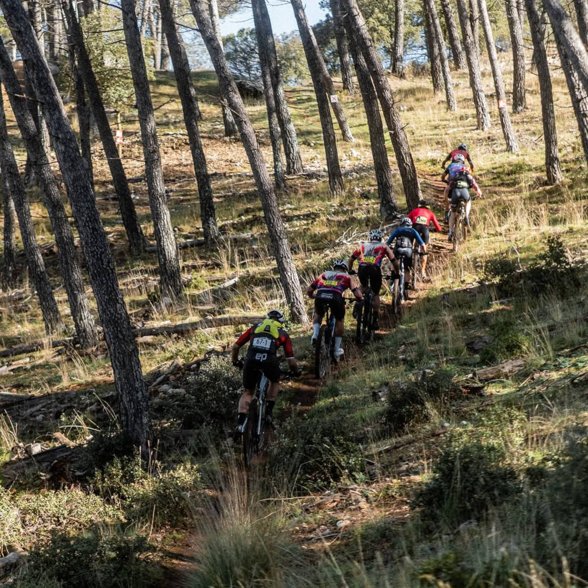 Participantes de la prueba. Imagen: Andalucía Bike Race