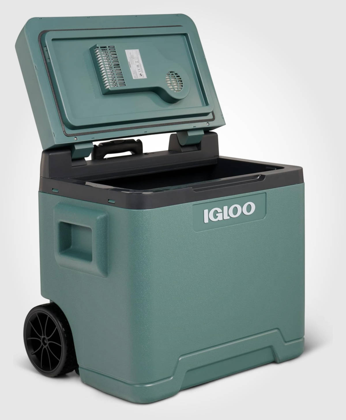IGLOO IE42. Imagen: IGLOO