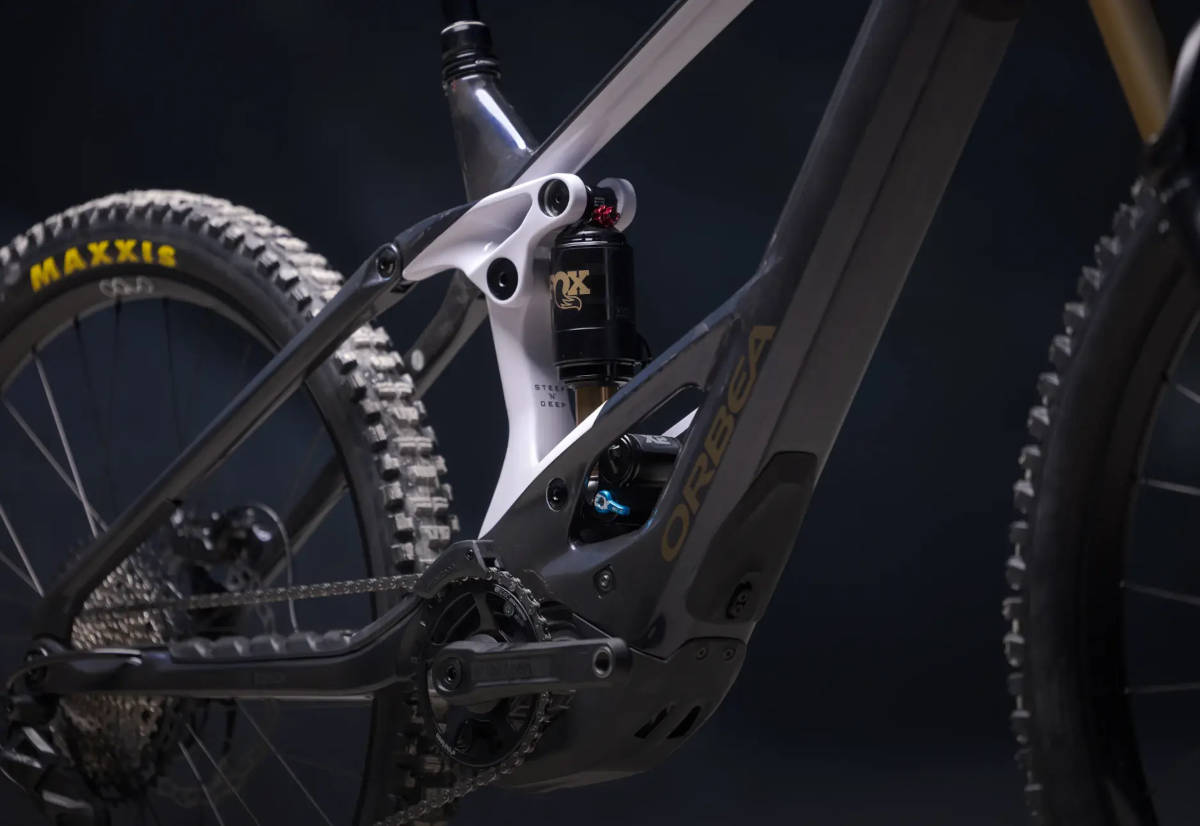 Orbea Wild. Imagen: Orbea