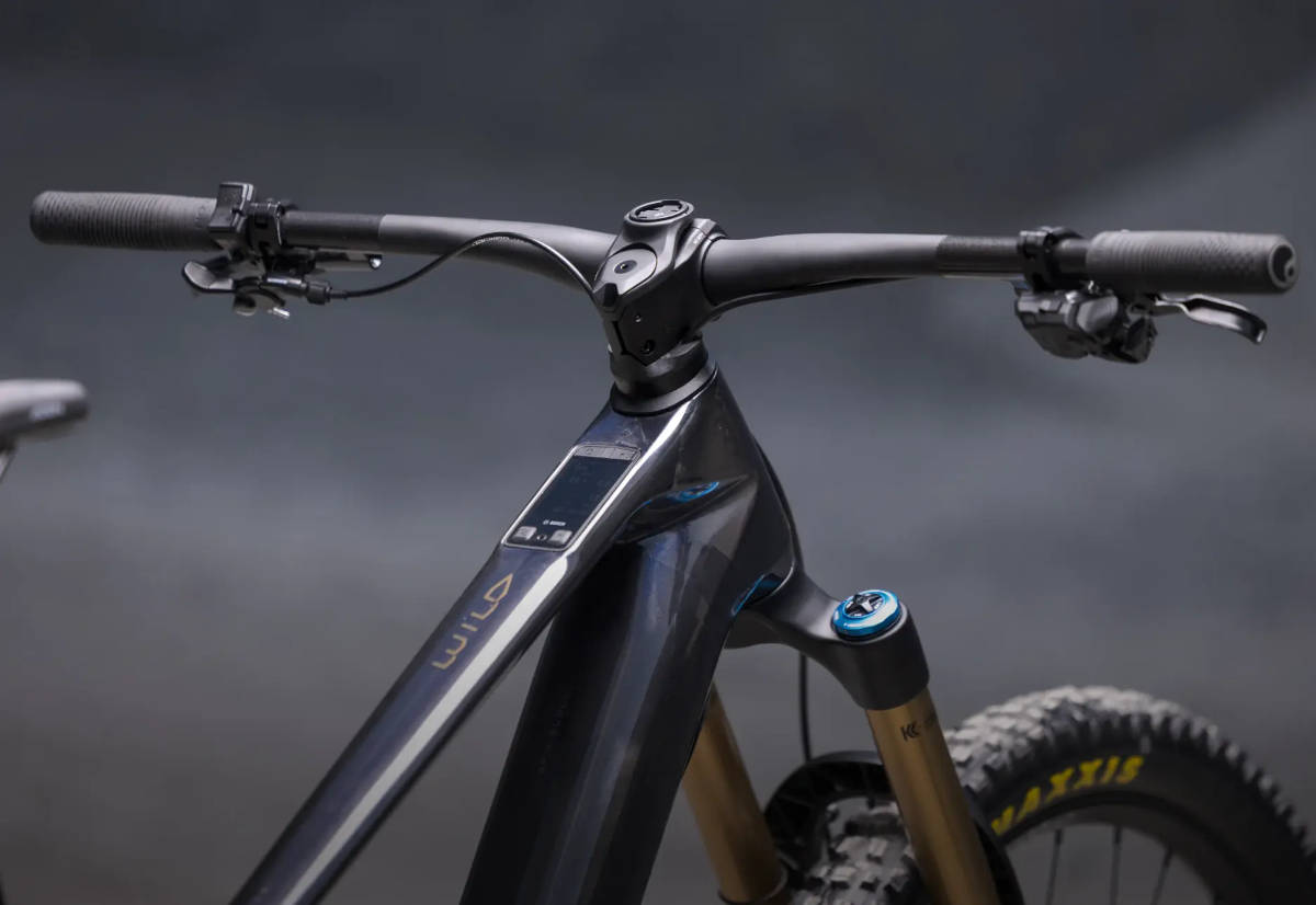 Orbea Wild. Imagen: Orbea