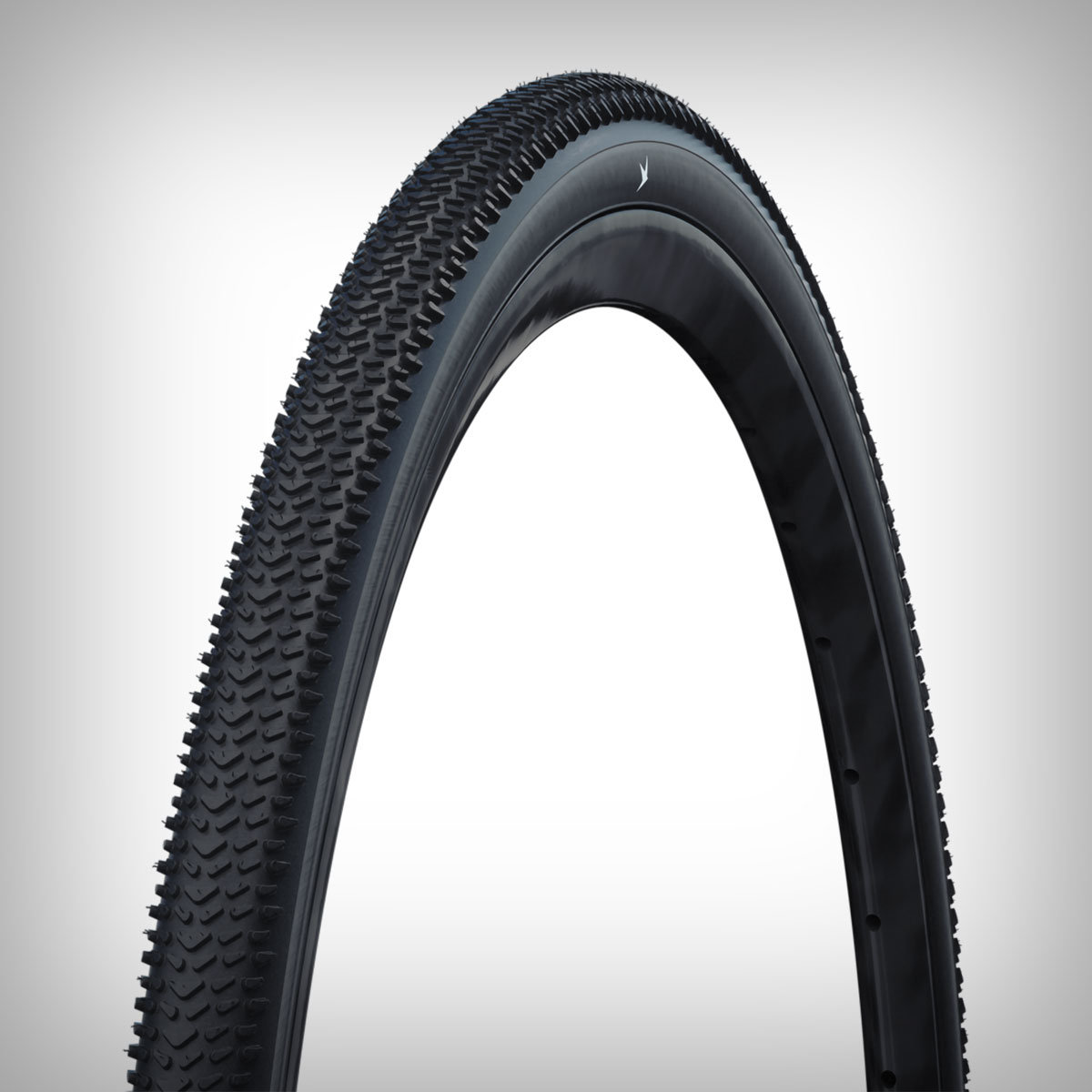 Schwalbe G-One R PRO: el neumático perfecto para el gravel de competición en pistas rápidas