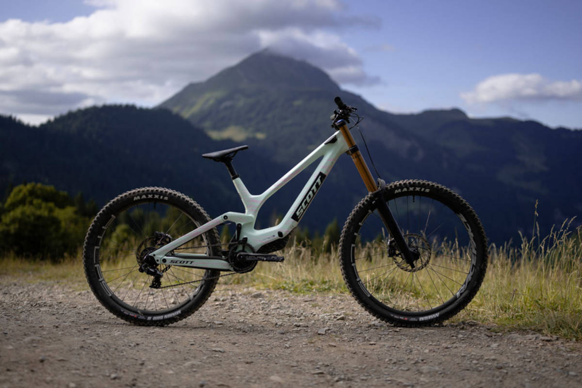 Scott Gambler 2026. Imagen: Scott