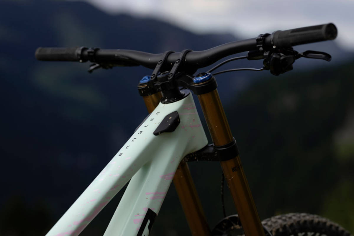 Scott Gambler 2026. Imagen: Scott
