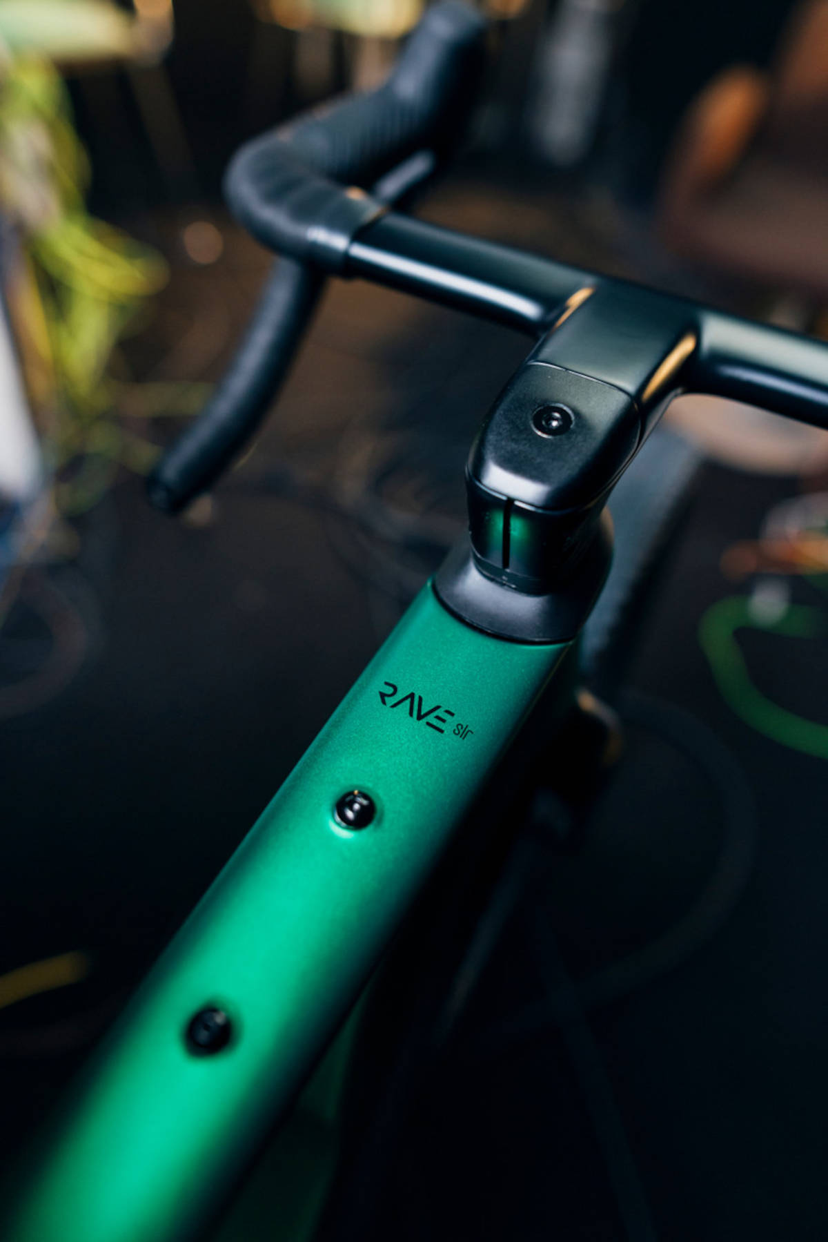 Wilier Rave SLR ID2. Imagen: Wilier