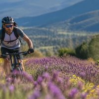 Cómo afecta la alergia al rendimiento en ciclismo y qué hacer para minimizarla