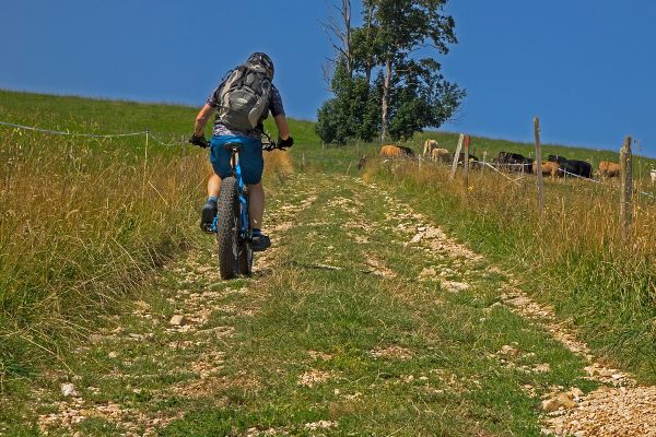Cómo pedalear más rápido gastando menos energía: el plan neuromuscular que muchos ciclistas pasan por alto