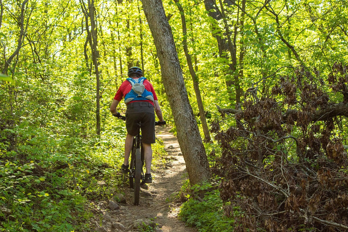 Ciclista por un sendero. Imagen: Pixabay