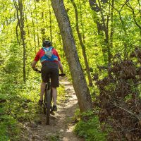 Cuántas calorías hay que quemar para perder dos kilos de grasa al mes en ciclismo