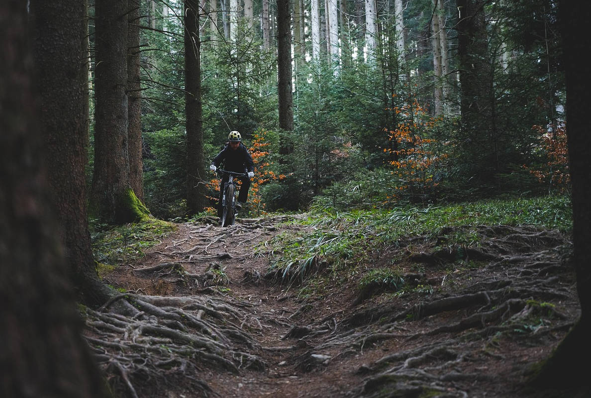 Ciclista bajando por la montaña. Imagen: Pixabay