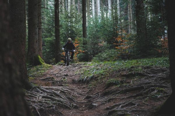 Cuántos kilómetros hay que hacer en bici cada semana: la guía real según tu nivel y objetivos
